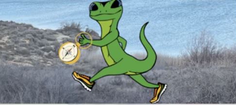 Lliga Esprint Rogaine. Rogaine del Llangardaix